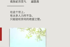 一个人，也挺好​图片