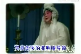 「典藏·戏曲」08 ||《豫剧五大名旦唱腔精选》常香玉 马金凤 崔兰田图片