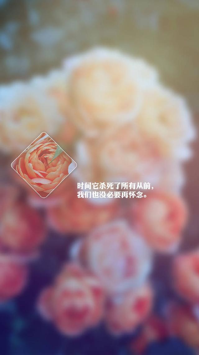 朋友圈精彩文案语录配片:不一定要逆风翻盘,但一定要向阳而生