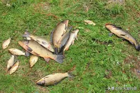 钓鱼技巧：漂脚之上裹铅皮，上鱼效率提升10倍图片