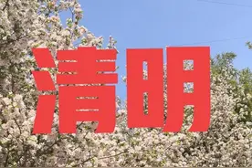 4月5日清明节！下雨好还是晴天好？老祖宗留下的俗语有预兆！图片