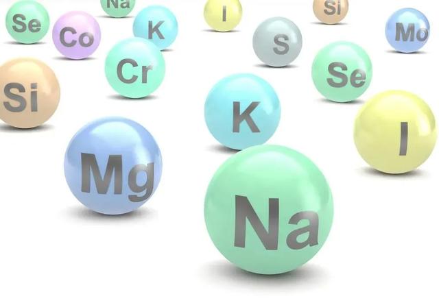 营养素与记忆力的关系