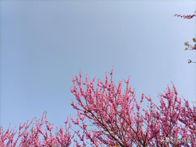 2023年 15句干净治愈的朋友圈文案 句句说到心里