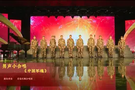 【青岛市老年活动中心文艺演出展播】男声小合唱《中国军魂》图片
