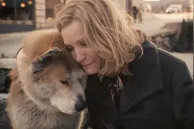 这5种狗狗，是出了名的有灵性，养一只不亏！图片