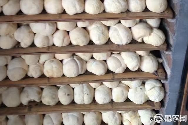 猴头菇多少钱一斤猴头菇市场价格（目前猴头菇的价格多少钱一斤）