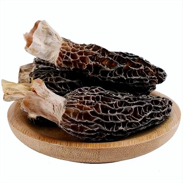 常见菌菇的区别（多到停不下来）