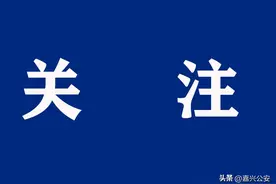 定了！嘉兴市区快速路重大进展！图片