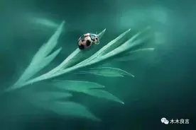 做人，请注意这六个忌讳图片