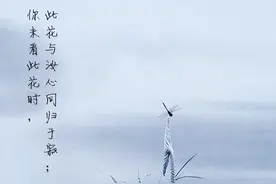 王阳明心学：你未看此花时，此花与汝同归于寂。花在心内不在心外图片