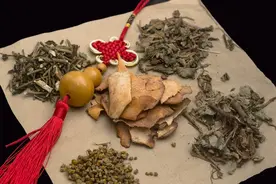中医不外传的方子，八味草药，赶走寒、湿、泄！图片