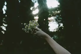 当一个人不联系你时，千万不要做这几件事图片