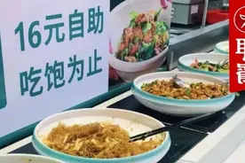 “16元现炒快餐自助”，20多种菜吃饱为止！新模型能跑通吗？图片