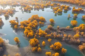 湛江最长航线来了！湛江⇌乌鲁木齐，10月30日开通！图片