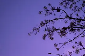 念念不忘，必有回响图片