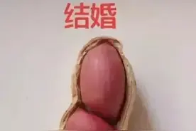 网友用花生呈现“人的一生”，从结婚到终老，笑着笑着就哭了图片