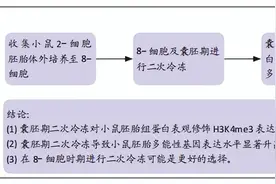 囊胚期玻璃化二次冷冻对小鼠胚胎组蛋白表观修饰及多能性基因表达的影响图片