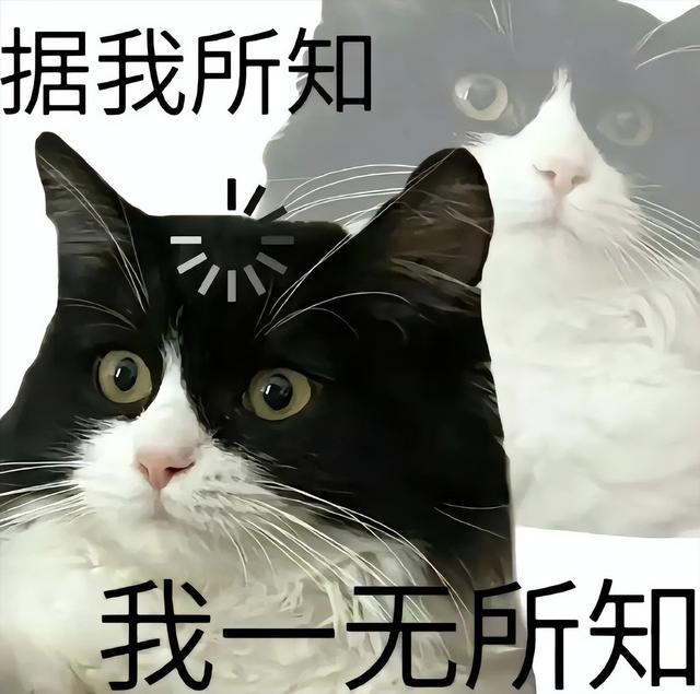 送完DLC就官宣停更，裁员1.4万只为AI手游？网友：魔兽又熬死一个