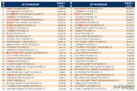 2021年资产评估机构100强（投行DATA系列）-证券资格仍是皇冠明珠图片