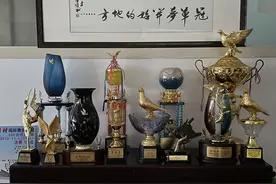 小鸽舍唱大戏  三年大步创佳绩——上海鸽立方—杨磊精益求精选种育鸽送公棚图片