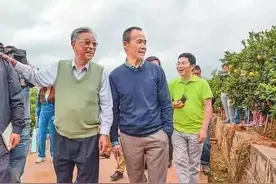 褚时健：他74岁出狱再创业，85岁成为橙王，他靠什么再次成功？图片