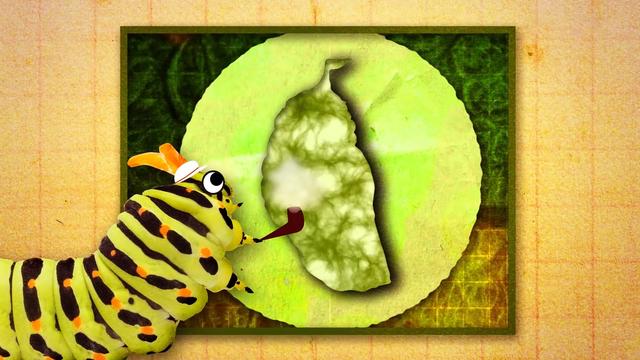 蝴蝶会有毛毛虫时期的记忆么？为了变成蝴蝶，将内脏都溶成液体