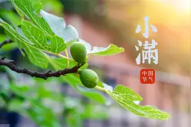 “小满吃四宝，一夏无病扰”，明日小满，4宝指的啥？怎么吃？图片