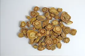 每日一药之防风图片