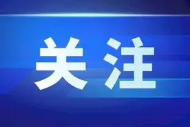 广西8家公证机构可办理海外远程视频公证业务图片
