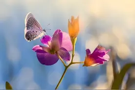 你穿的衣服，往往决定了你的命运图片