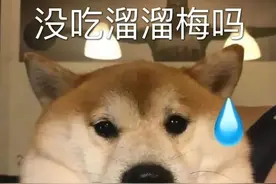 狗狗动图表情包 | 吃溜溜梅了吗图片