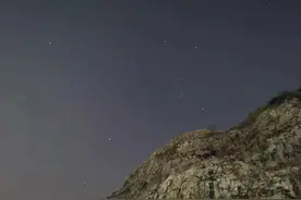 上海985高校优势专业有哪些？图片