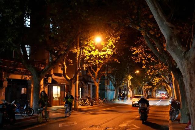 越来越多的95后，只心动、不恋爱