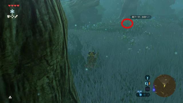 塞尔达传说之旷野之息全神庙位置（六）——森林之塔