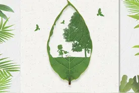 曾都区白云湖学校组织开展“文明礼貌月”系列活动图片