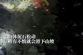 湖南怀化 女孩为摘野花深夜被困山腰峭壁，无奈报警求助图片