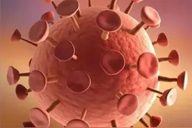 天花的灭绝之路图片