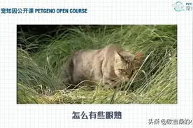 第二课：八大基础色（1/2）图片