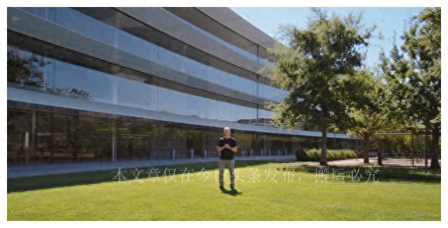 苹果手机最新款报价(2023苹果15最新价格)