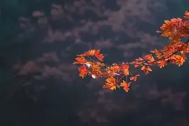 ​人生三境界图片