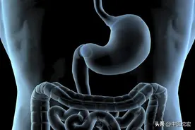 养好脾胃，人不老！6种健脾养胃中成药大总结，学会不走弯路图片