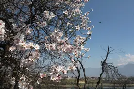 三个月，从瘫痪卧床到正常上班，脑出血患者康复路图片