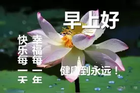 早上好图片（10）：祝你快乐每一天，幸福每一年，健康到永远！图片
