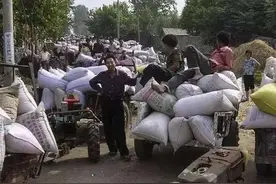 农村养老金现争议，交公粮不白交，为啥还要拿交公粮说养老的事？图片