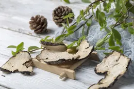 中医如何调理滑膜炎，一篇文章细细道来，速看图片