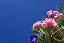 已婚男女，不该有的“暧昧”行为，有了就会越界图片