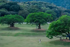 美爆了！藏在半山里的湿地公园-恩上水库图片