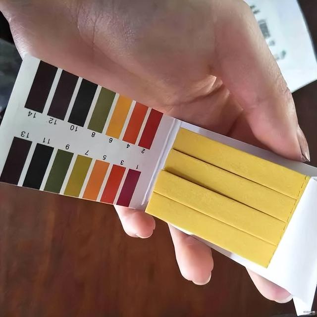 养兰自来水不能直接用，3招配制兰花喜欢“喝”的水