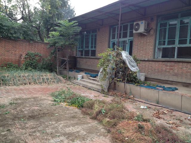 想做白日梦中的事