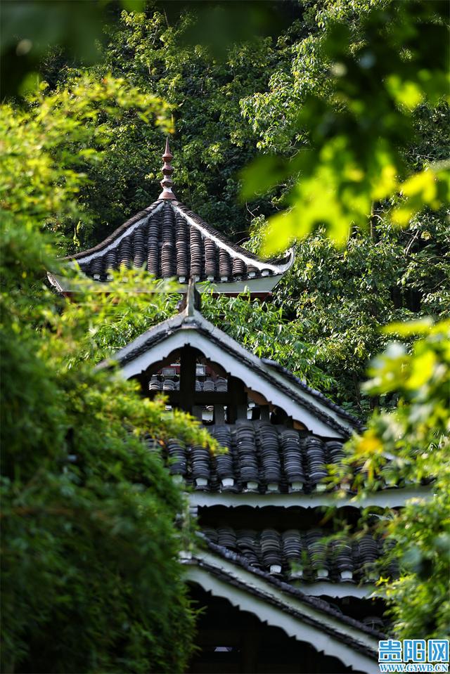 【图集】不止黔灵山，贵阳这些公园也倍受避暑游客宠爱
